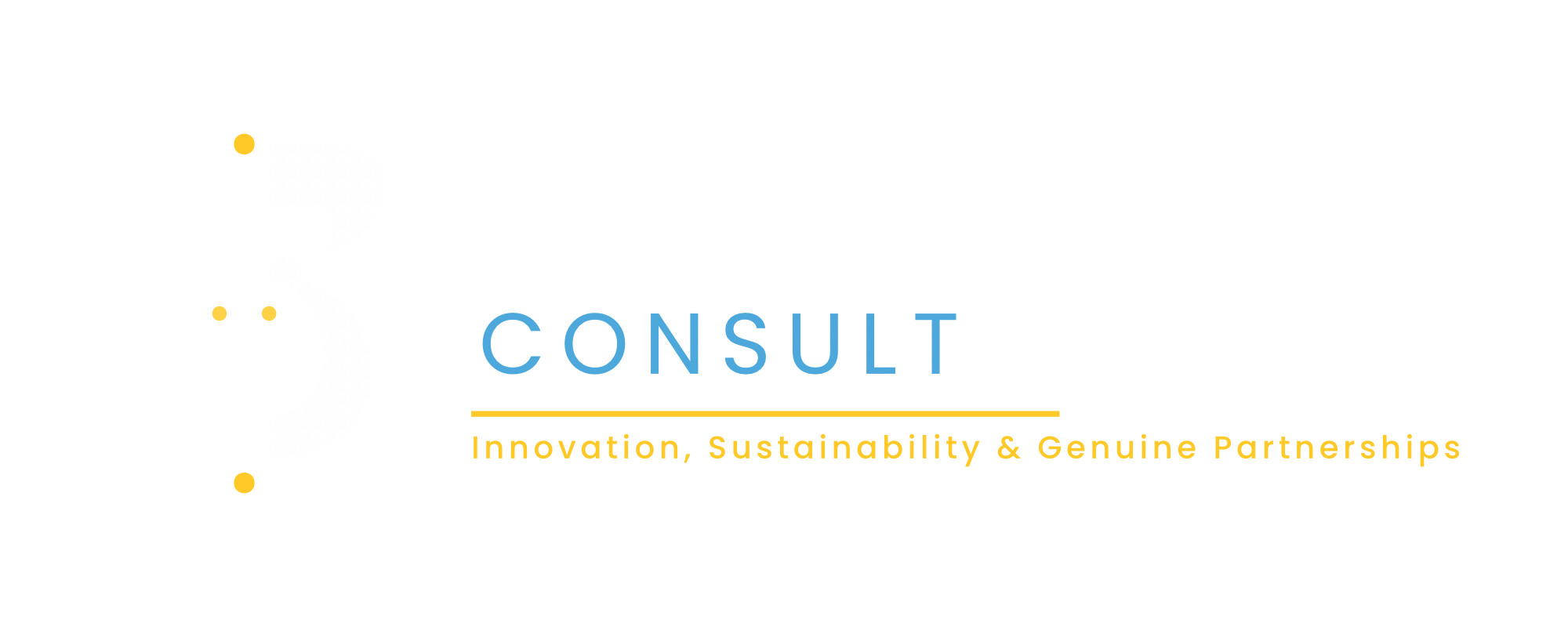 ViaNova Consult